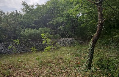 Эемля Svetvinčenat