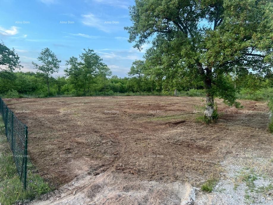 Эемля Svetvinčenat 1