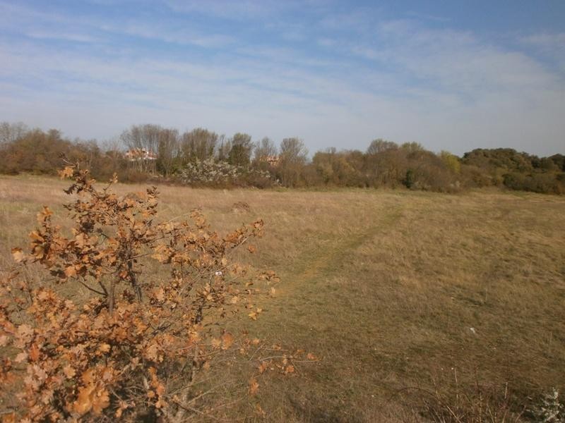 PULA - Grande terreno per la costruzione di una casa famigliare o la villa. 1