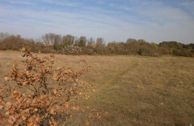 PULA - Velika parcela za gradnju obiteljske kuće ili vile