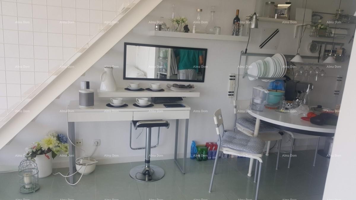 Apartment Novigrad 12