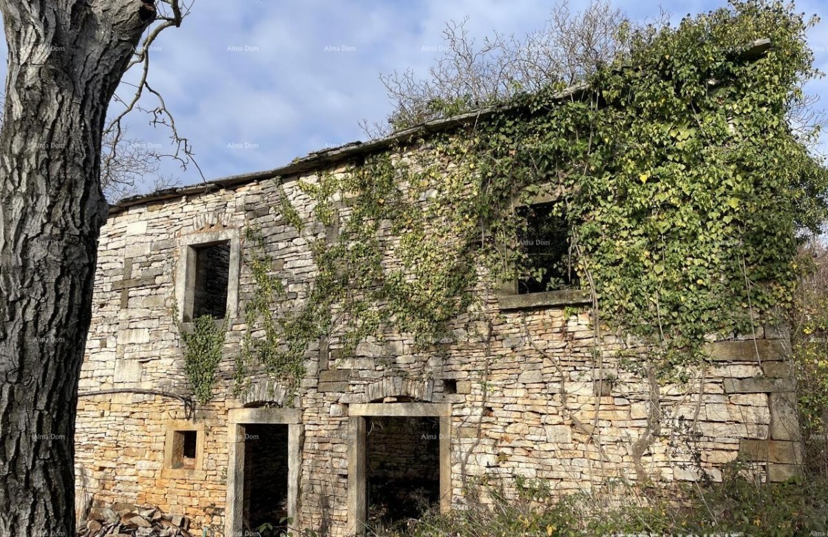 Prodaja - kamena istrska kuća za renovaciju s velikim zemljištem, Oprtalj! 1