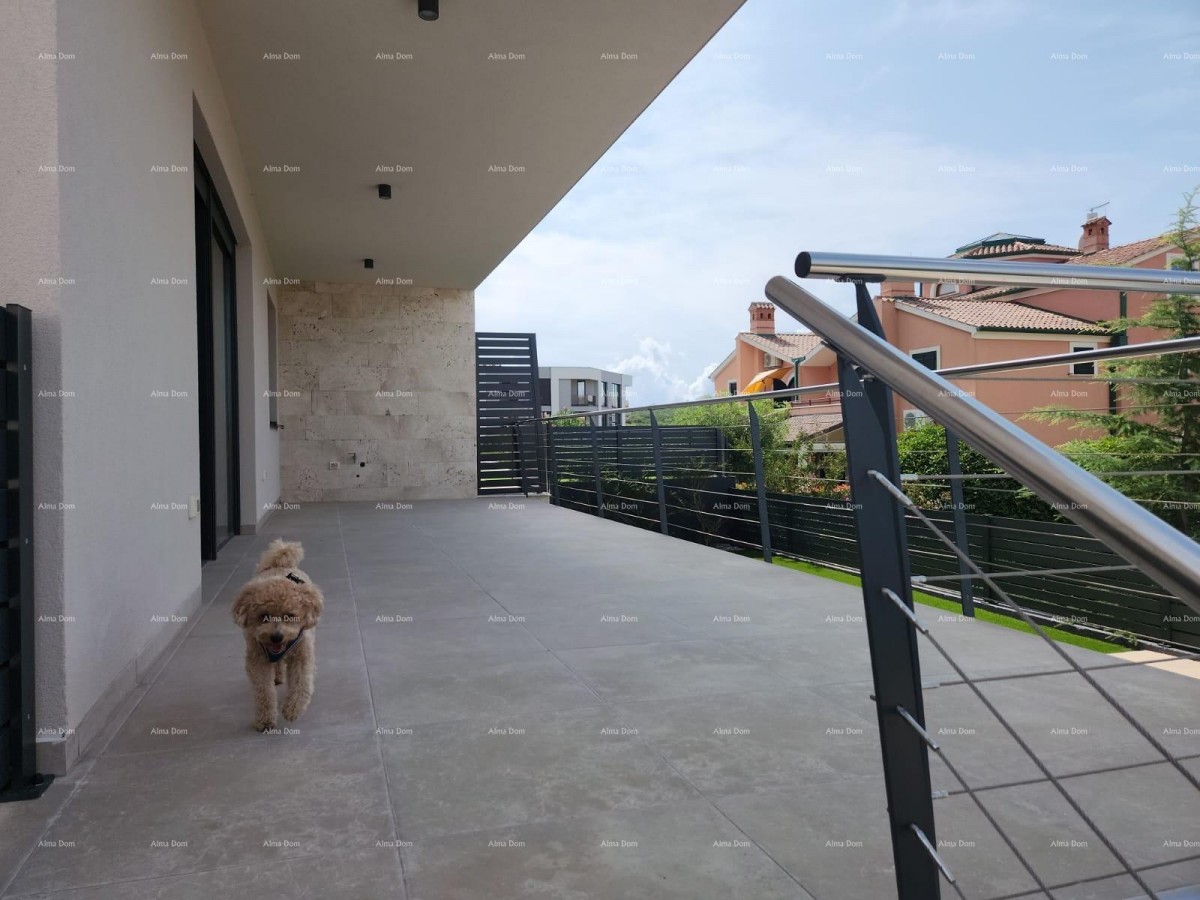 Luxury apartment with a pool, new construction -- Banjole, Volme! 3