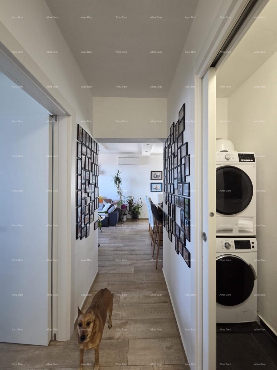 PULA, VIDIKOVAC, RENOVIRAN STAN 52 m² 16