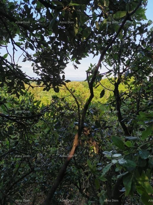 Građevinsko zemljište, Ližnjan 7