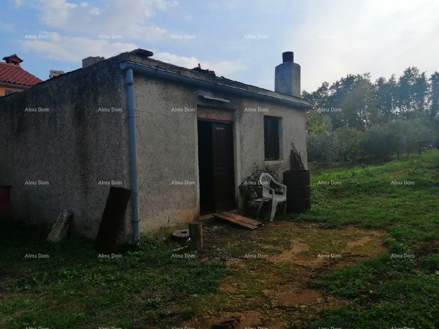 Marčana Vareški 10