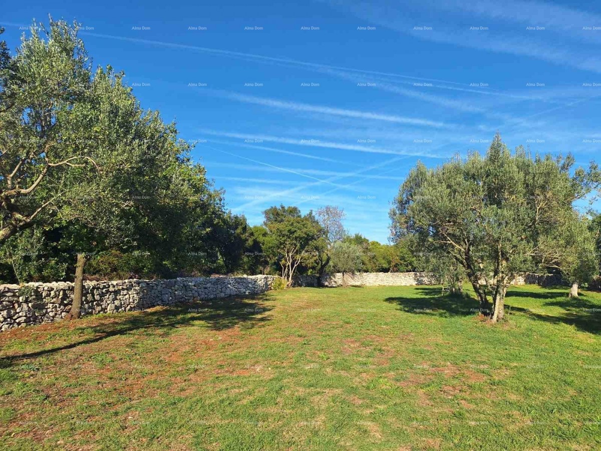 СЕЛЬСКОХОЗЯЙСТВЕННАЯ земля рядом с морем, Перов - продажа! 4