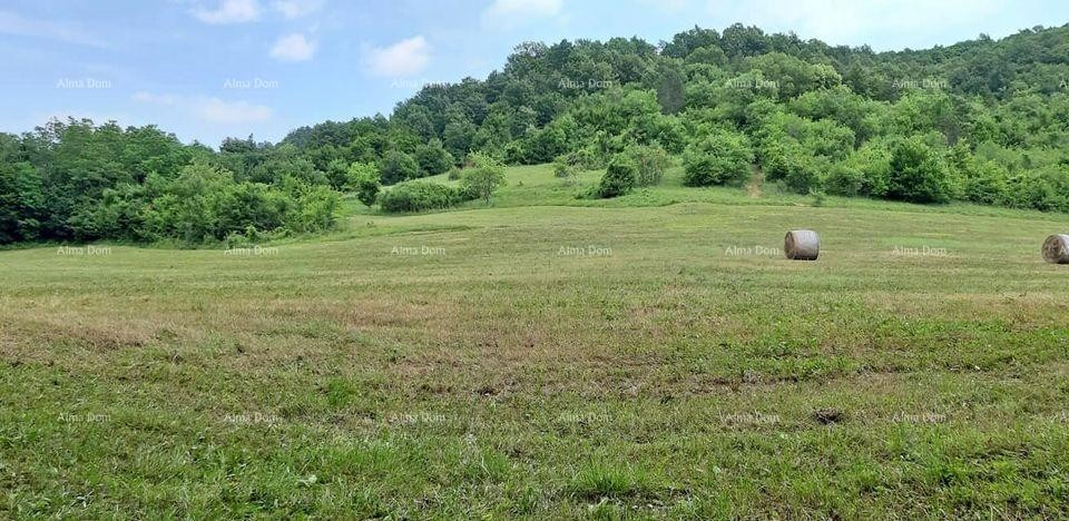 For Sale - Large Estate/Farm in Central Istria, Pazin! Investment Opportunity! 2
