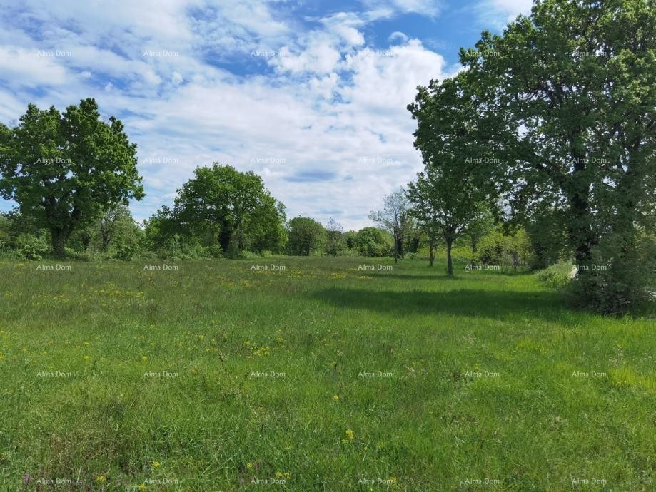 Prodaja građevinskega zemljišča, Višnjan. Idealno za gradnjo 20 hiš za počitek. 15