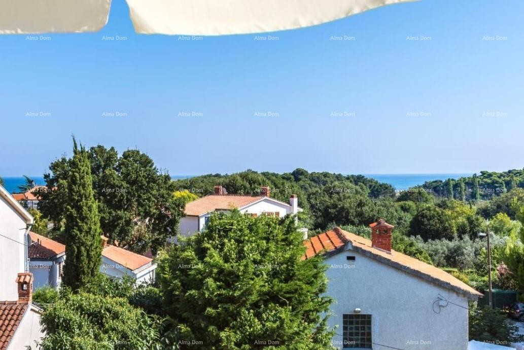 Kuća s apartmanima i bazenom u Premanturi – pogled na more! 15