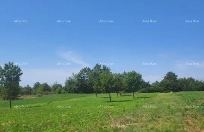 Istra, Žminj, Laginji. Građevinsko zemljište. 1950 m2.