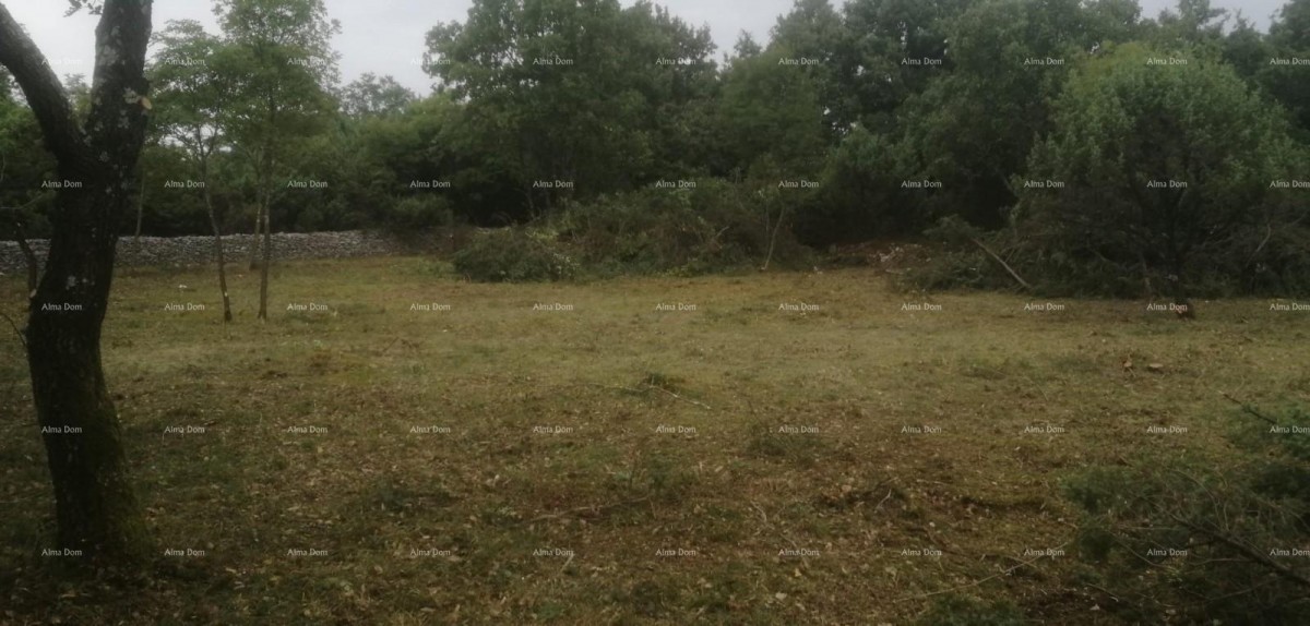 Građevinsko i poljoprivredno zemljište u blizini Svetvinčenata: 11100 m² za vašu investiciju 4