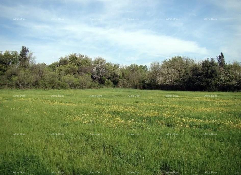 Investment Opportunity! Sale of Construction Land for Tourism and Hospitality Purposes - T Zone, Ližnjan! 3