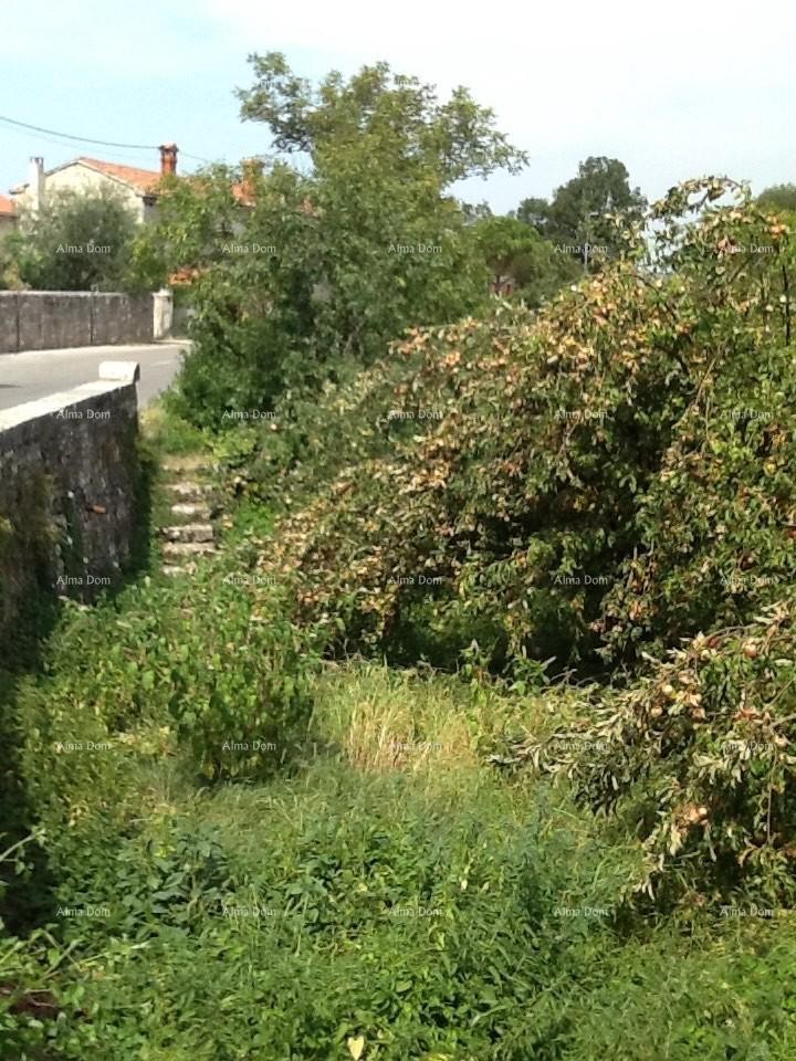 Sveti Petar u Šumi, kuća i zemljište 3