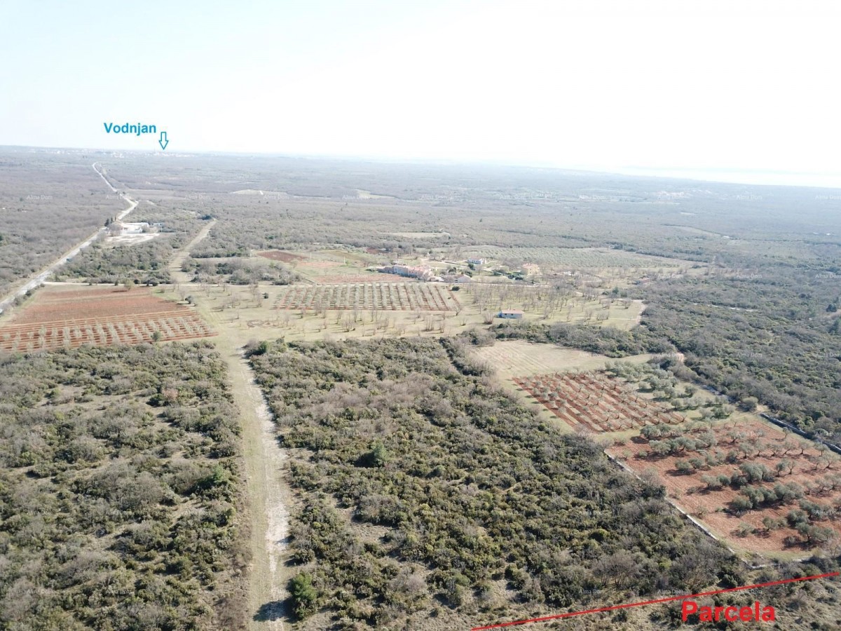 Terreno Vodnjan 3
