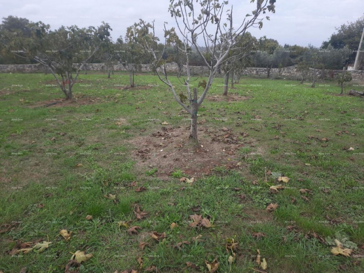 Marčana – terreno edificabile di 2102 m² 3