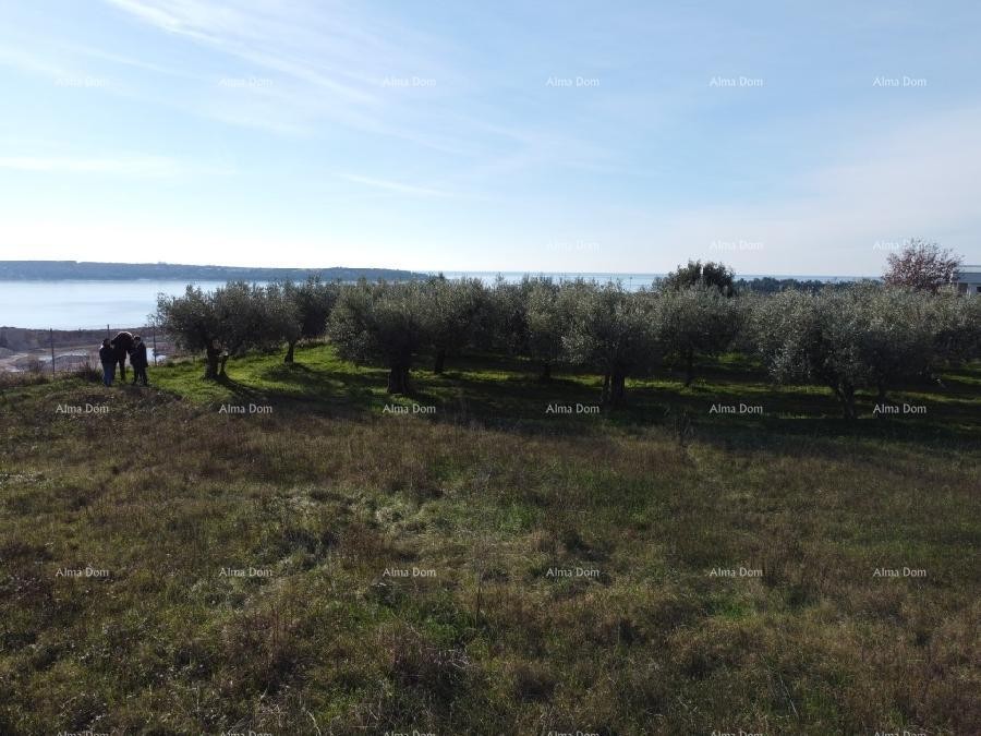 Appartamento con terrazza sul tetto - Residence Novi Home Novigrad 9