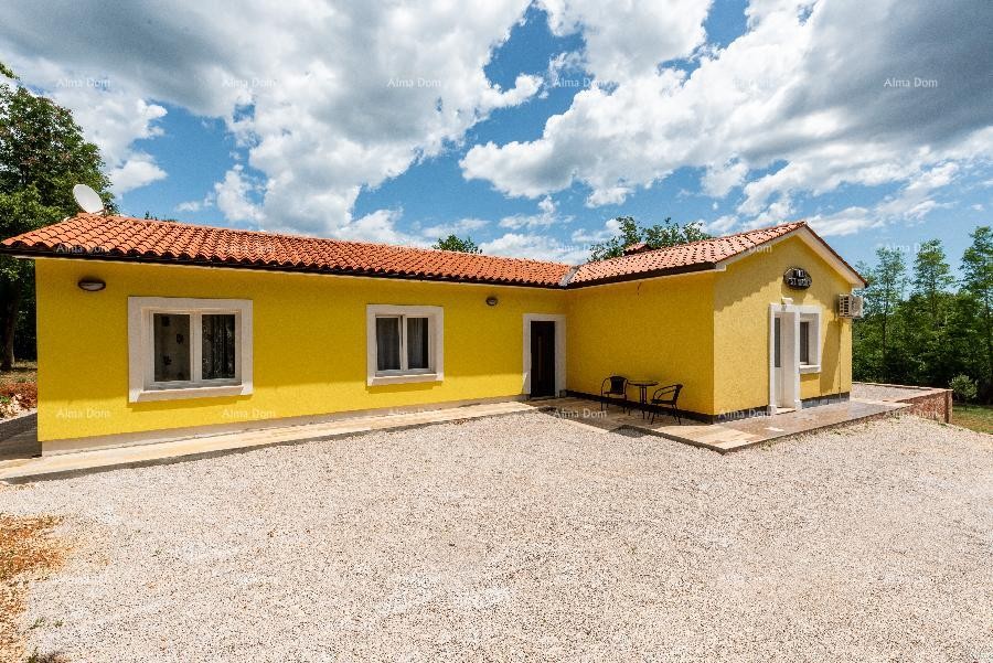 Kuća na Labinštini ! Veliki teren oko kuće od 9400 M2!! 18