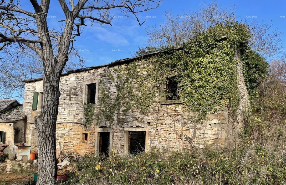 Prodaja - kamena istrska kuća za renovaciju s velikim zemljištem, Oprtalj! 6