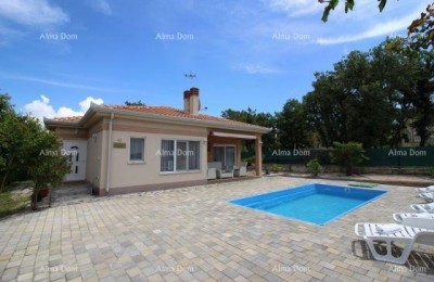 POREČ AREA – Luxuriously furnished ground floor house with a pool on a spacious property