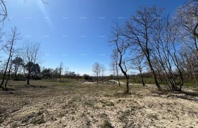 PAZIN (Istra) - građevinsko zemljište 1543 m2, u zelenoj zoni