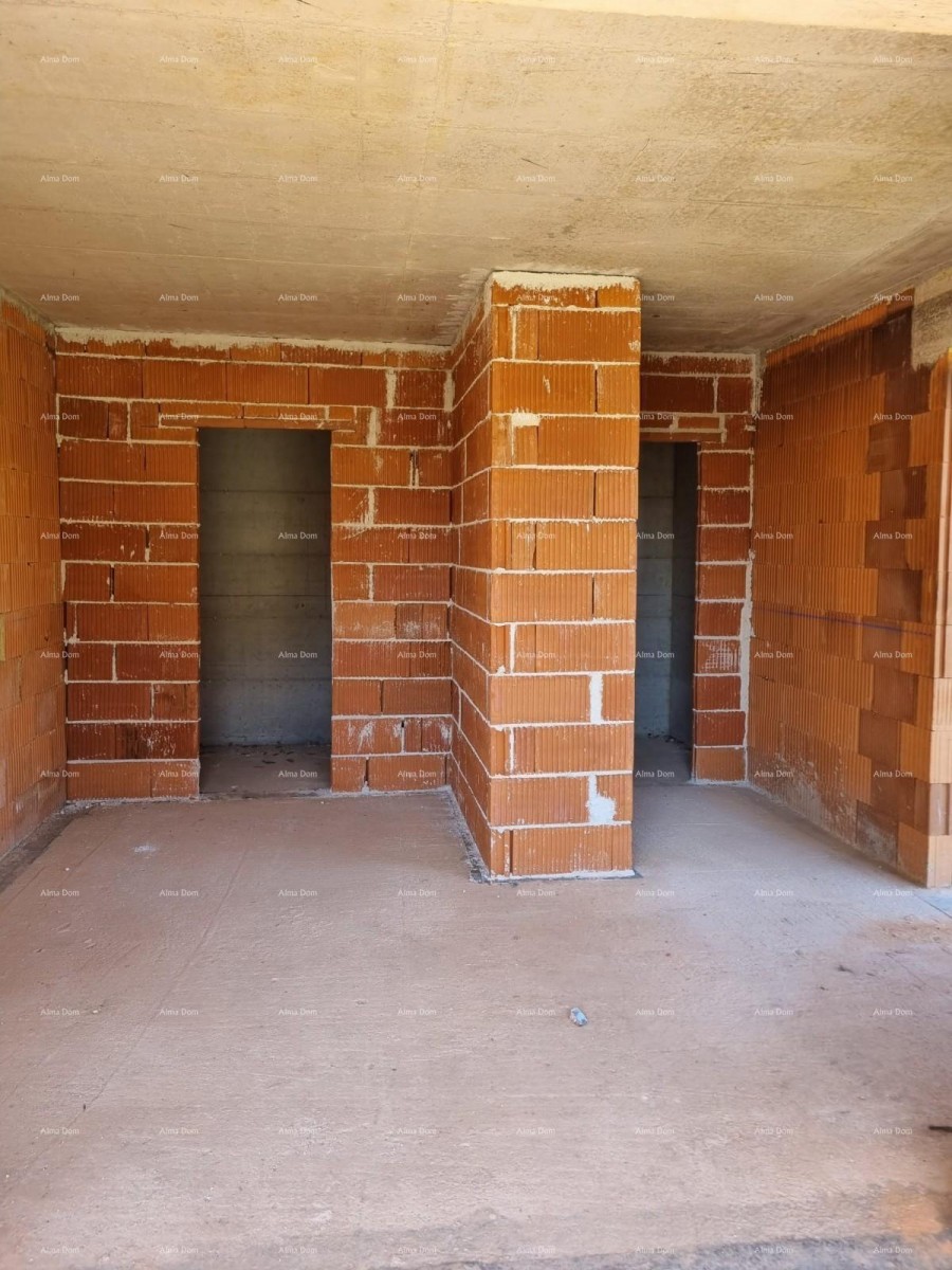 House Pazin 9
