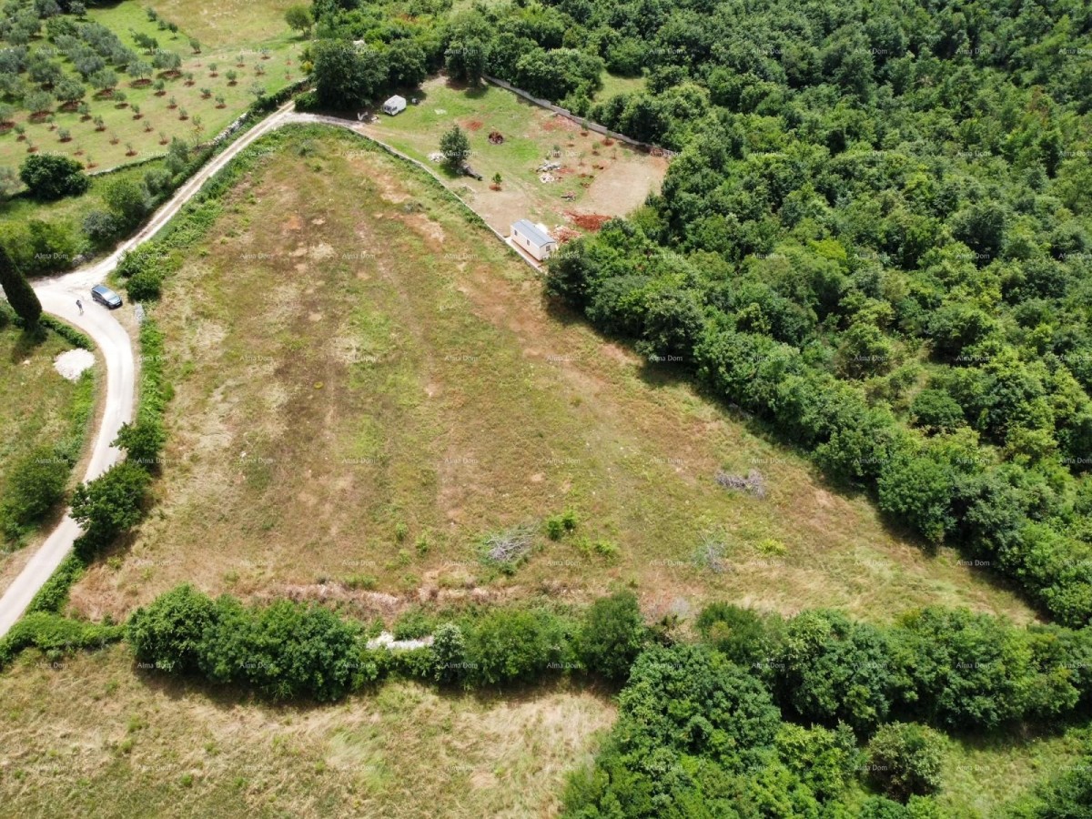 Vicino a Dignano! Terreni con permesso di costruire! 4
