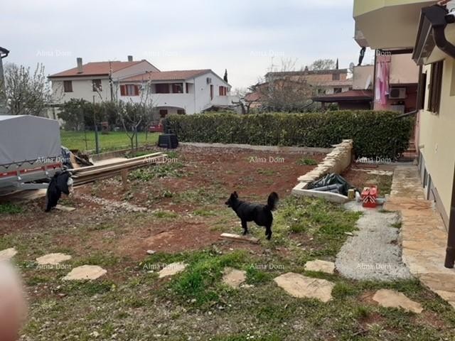 NOVIGRAD - Due appartamenti in vendita in una casa unifamiliare 2