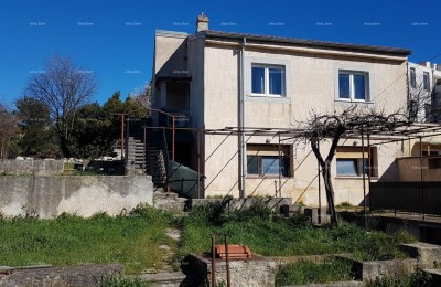 Pula! A house with two apartments and a large garden.