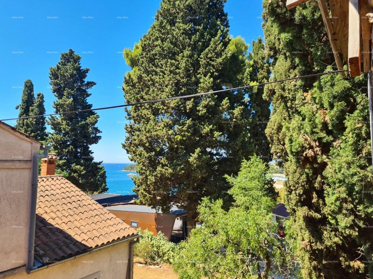 Kuća za adaptaciju sa velikom parcelom!  Rovinj Porton Biondi. 4
