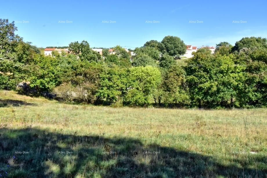 Plot Svetvinčenat 5