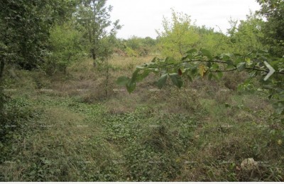 Plot Ližnjan