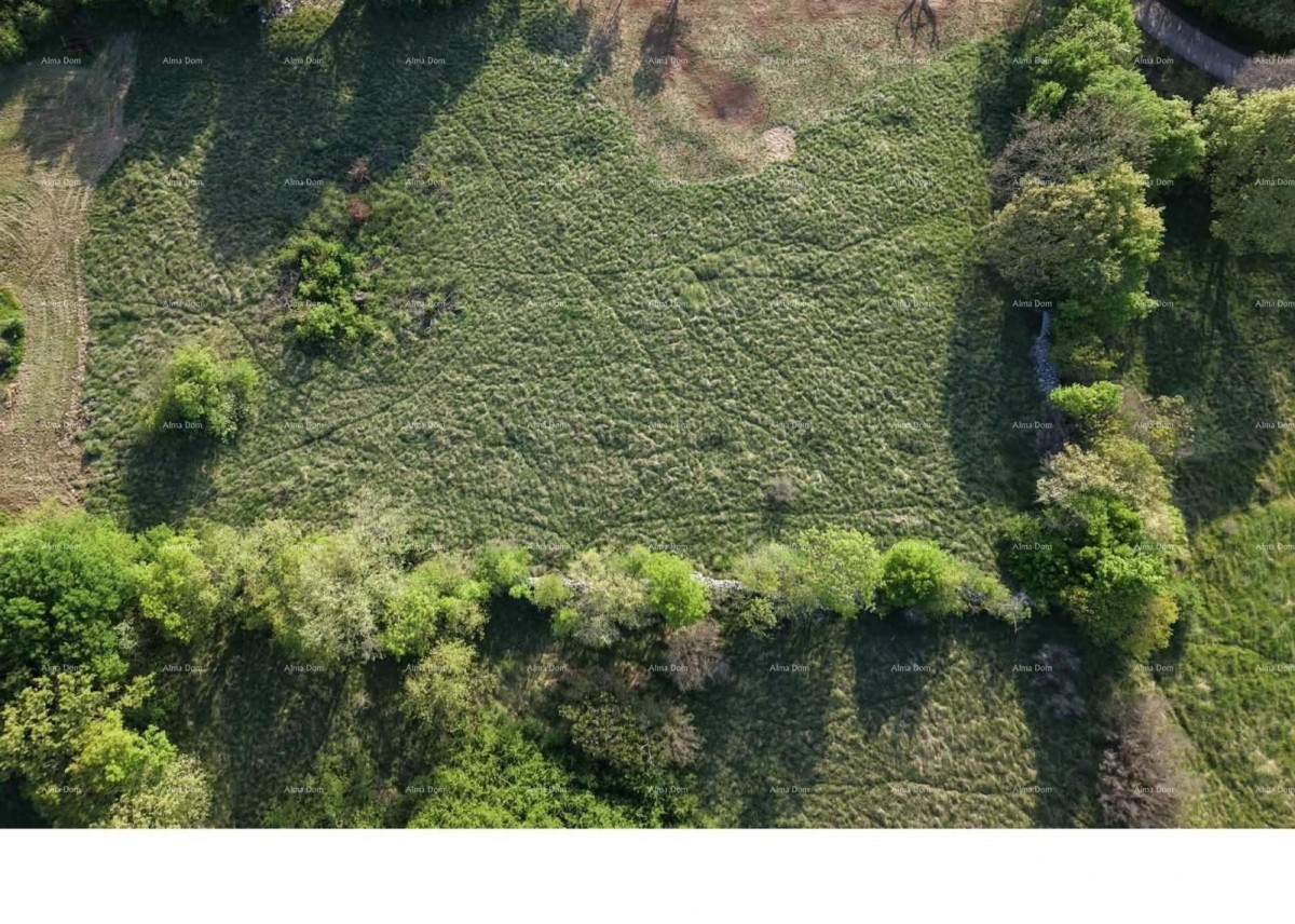Terreno edificabile, 1018 m² – Labin 1