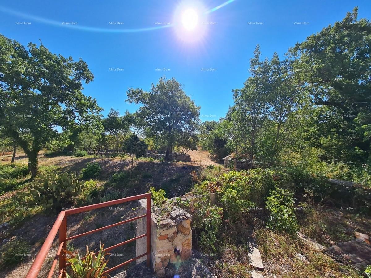 Stancija pri Vodnjanu! Veliko zemljišče 6390 m2!! 13