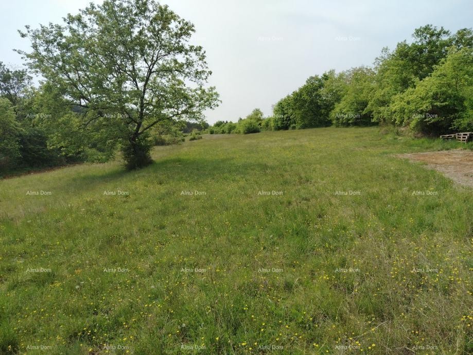 Građevinsko zemljište 3.528 m² ,  u blizini Grožnjana 3