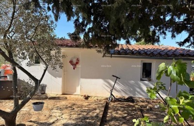 Vodnjan, Prizemnica con giardino