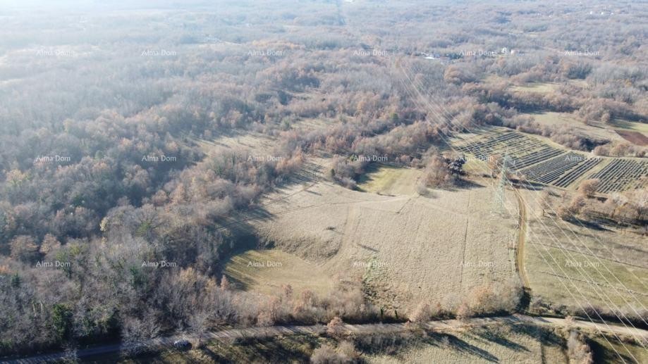 Labin, Terreno edificabile 39.143 m2 – zona turistica (T2) 1