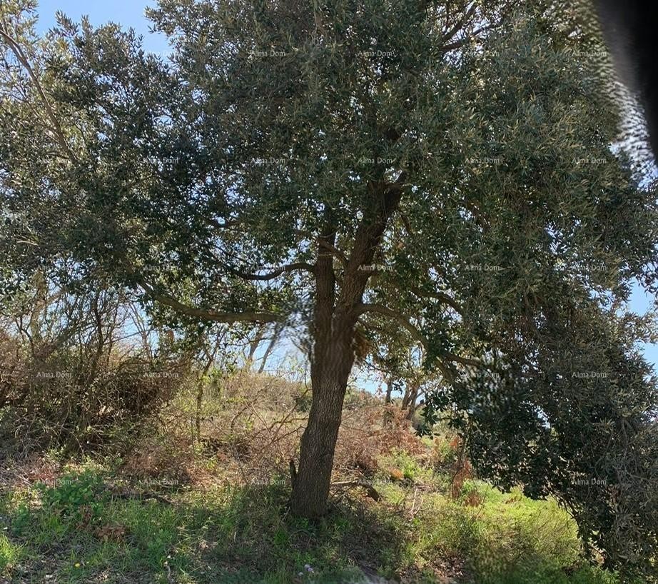 Terreni edificabili in vendita, Medolino! Mukalba! 1