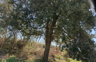 Продажа участков под застройку, Медулин! Mukalba!