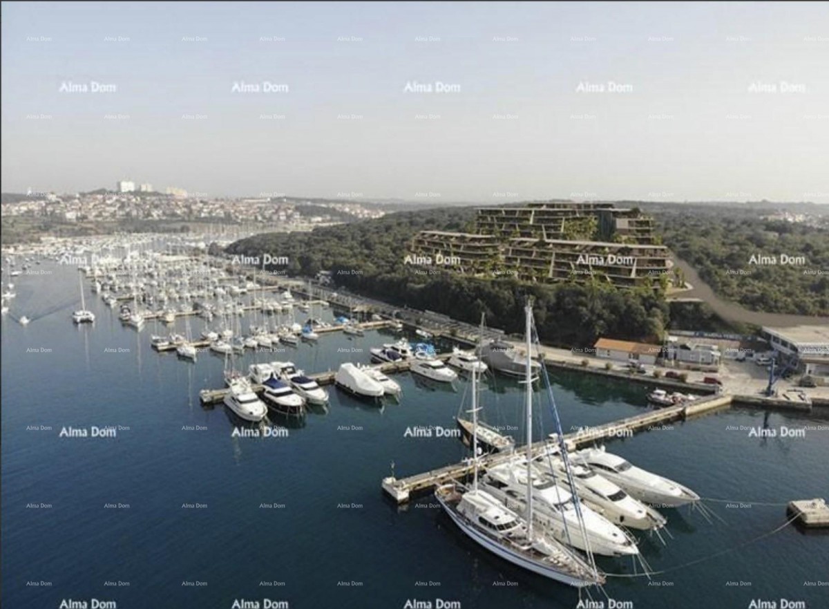 Marina, Pula! 4
