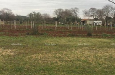 Agricultural land for sale, Rovinj