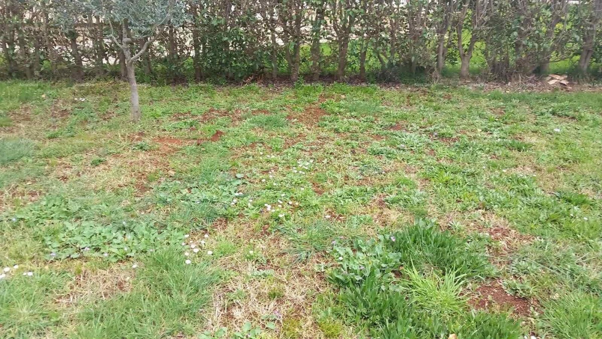 Эемля Vodnjan 2