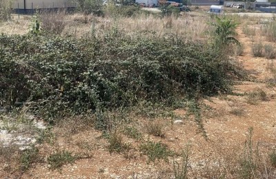 Terreno edificabile in vendita in una posizione attraente, Loborika!