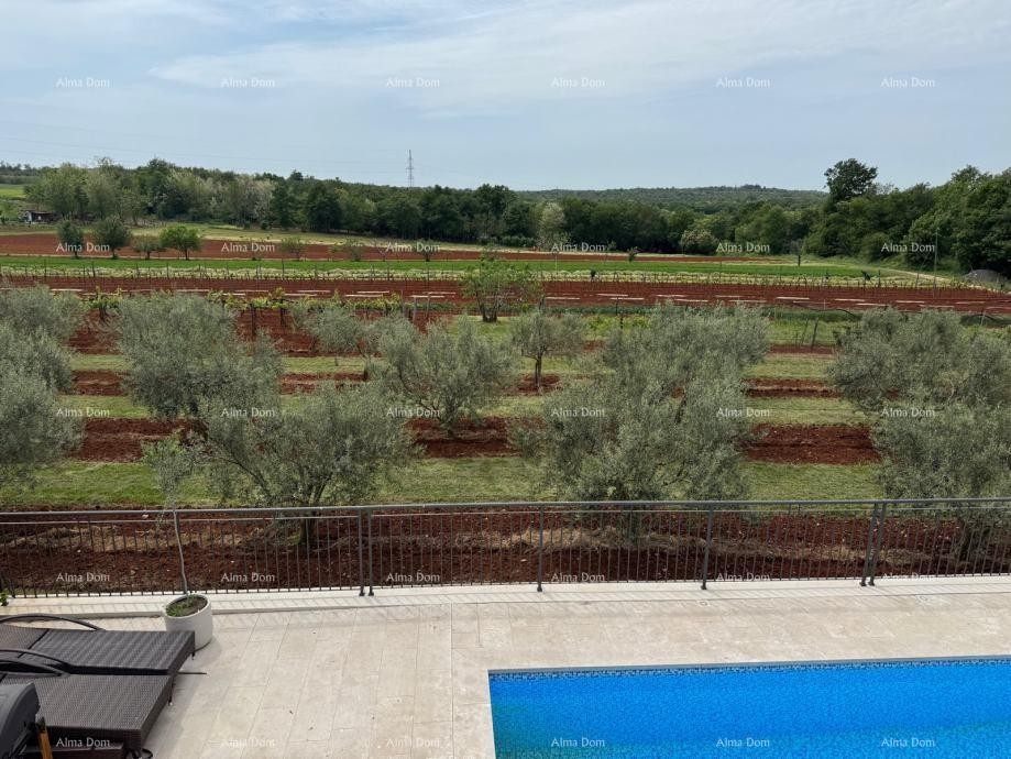 Stunning two-story apartment with a pool and terrace in Buje 15