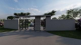 The translation of the title 3