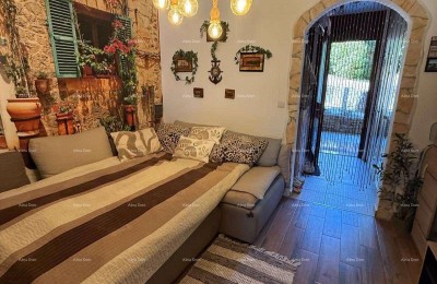 СТАН 37,15 м² – ДУГА УВАЛА