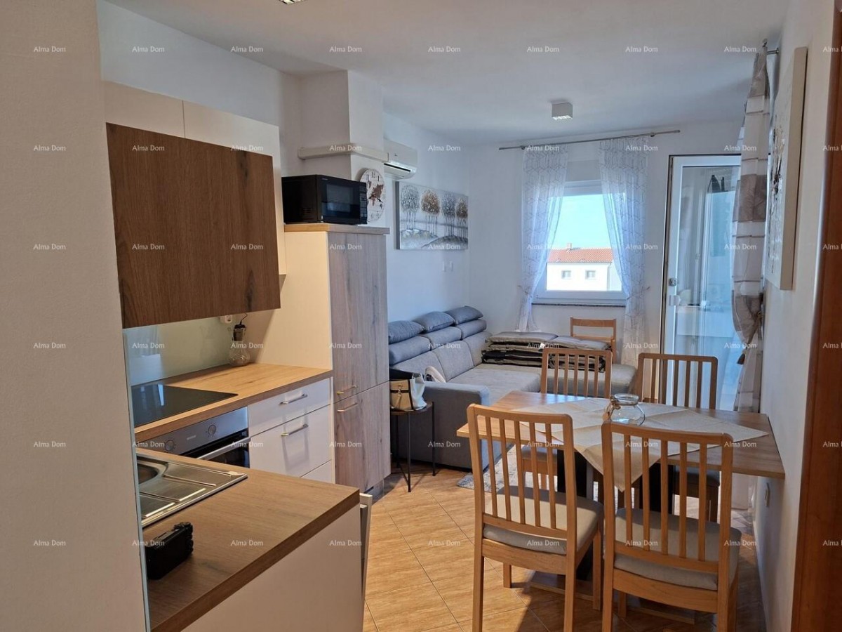 Apartment Vodnjan 1