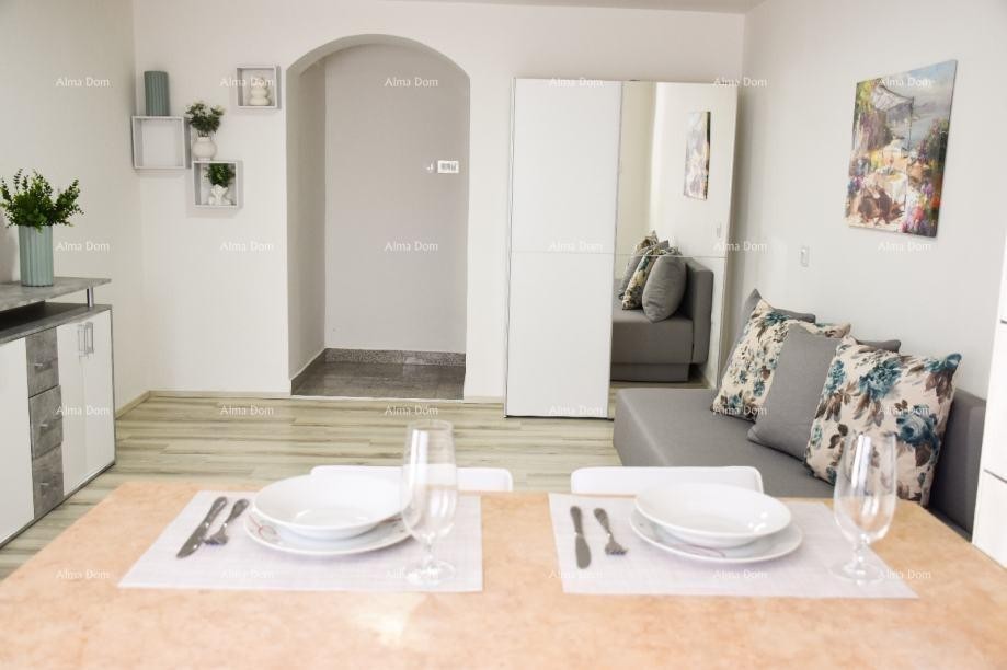 Spacious apartment in Poreč 9