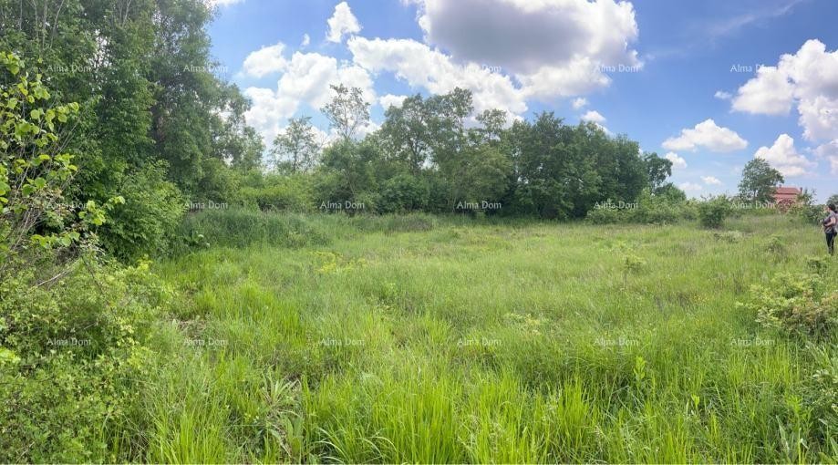 For sale: Construction land 1246 m2, Tinjan 2