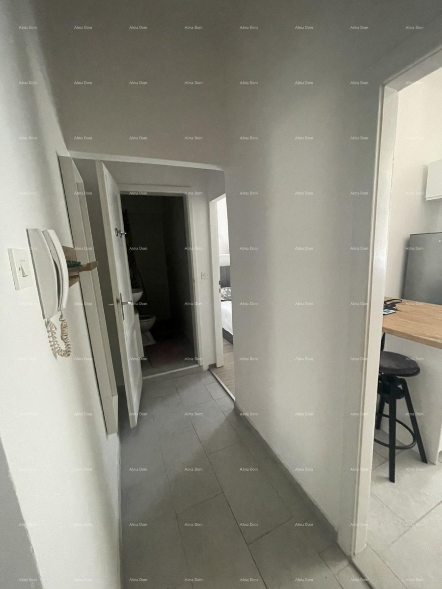 Furnished apartment 45 m2 on the ground floor in the center of Pula 11